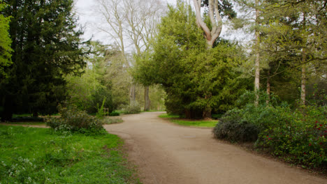 Camino-Con-árboles-A-Través-De-Parques-Universitarios-En-El-Centro-De-La-Ciudad-De-Oxford.